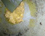 A picture of step 12 of Stuffed masala karela / bittergourd.