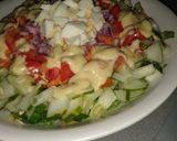 Saladmatakin girki5 hoto