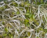 Foto langkah ke 1 dari resep Oseng toge mix tahu.