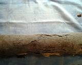 Chocolate Ice Cream Roll Cake recipe step 10 photo