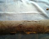 A picture of step 10 of Chocolate Ice Cream Roll Cake.