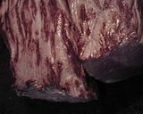 A picture of step 3 of New Year's Beef Tataki.
