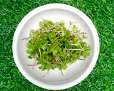 Cara Membuat Salad dengan Microgreen 1