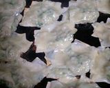 A picture of step 9 of Bite-Sized Gyoza Dumplings (Tenten style).