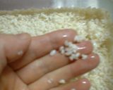 A picture of step 9 of Versatile Seasoning from the Countryside Shio-koji.