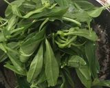 Foto langkah ke 4 dari resep Tumis bakso plus daun ginseng.