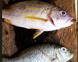 A picture of step 1 of Deep Fried Fish.