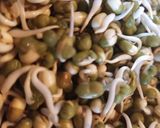 स्प्राउटेड मूंग दाल/ अंकुरित मूंग दाल (Sprouted moong dal/ ankurit moong dal recipe in Hindi) रेसिपी चरण 1 फोटो
