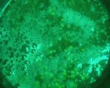 Foto del paso 1 de la receta: Hamburguesas de lenteja