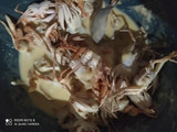 Baby Crab Crispy