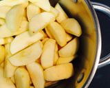 A picture of step 5 of Everyone's Favorite Applesauce.