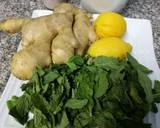 Mint Ginger soda lime recipe step 1 photo
