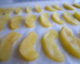 A picture of step 5 of Homemade Dried Apples for Storing.
