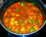 Mike's Cheaters Chilli recipe step 2 photo