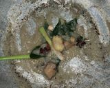 Foto langkah ke 2 dari resep Sop Ayam Pak Min.