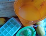 Foto del paso 3 de la receta: Limonada congelada