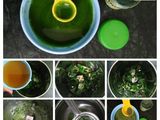 પાન ફાલુદા (Paan Falooda Recipe In Gujarati)