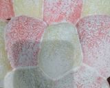Foto langkah ke 8 dari resep Japanese Milk Bread Autolisis (merah putih).