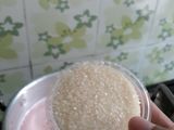 Agar-Agar Santan