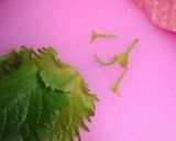 A picture of step 4 of Chicken Tender Rolls With Umeboshi, Shiso and Cheese!.