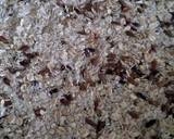 Vickys Chocolate Granola GF DF EF SF NF recipe step 3 photo