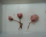 A picture of step 4 of Salt-Cured Cherry Blossoms.
