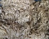 รูปขั้นตอนการทำที่ 3 ของ ผัดเส้นหมี่ไวไว 🐷🐷🐷