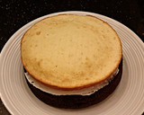 A picture of step 20 of Neapolitan Layer Cake.