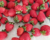 Foto del passaggio 7 della ricetta Meringata fragole e cioccolato