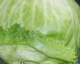 A picture of step 5 of Eat a Whole Lettuce! Mixed with Shio-Kombu.