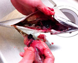 A picture of step 4 of How to Fillet a Whole Fish.