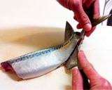 A picture of step 18 of How to Fillet a Whole Fish.
