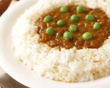A picture of step 5 of Suprisingly Tasty! Watermelon Keema Curry.