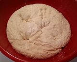 A picture of step 7 of TX'S STYLE ~ SAN FRANCISCO SOURDOUGH BREAD.
