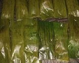 Foto langkah ke 6 dari resep Otak-Otak Bakar.