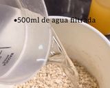 Foto del paso 1 de la receta: 🌱AVENA FERMENTADA🌱