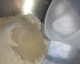 Foto del paso 3 de la receta: Pan rústico natural