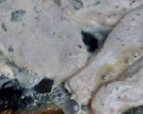 Une image de l'étape 3 de Poulet Souvlaki 🇬🇷.