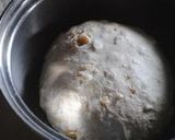 A picture of step 4 of Rustic Walnut Loaf with Homemade Natural Leaven.