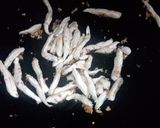 A picture of step 3 of Kanya's Stir Fried Noodles.