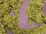 Thai Green Curry