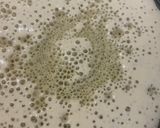 صورة لخطوة 2 من وصفة بغرير