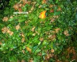 A picture of step 3 of Palak qeema 😋پالک قیمہ 💕.