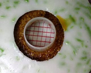 Puding CENDOL LUMUT - Step 5