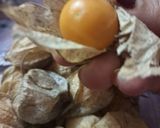 A picture of step 1 of Cape Gooseberry Murabba.