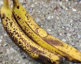 Foto del paso 5 de la receta: 🍌🍫 Budín de banana y chips de chocolate 🍫🍌