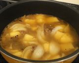 A picture of step 5 of Simmered Meat and Potatoes (with my family's 
