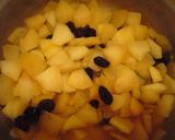 A picture of step 2 of Egg & Dairy Free Creamy Easy Apple Pie.