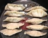 A picture of step 14 of Gyoza Dumplings with Alpine Leek.