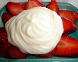 A picture of step 6 of Ultra-Healthy Yogurt Cheese Cream.